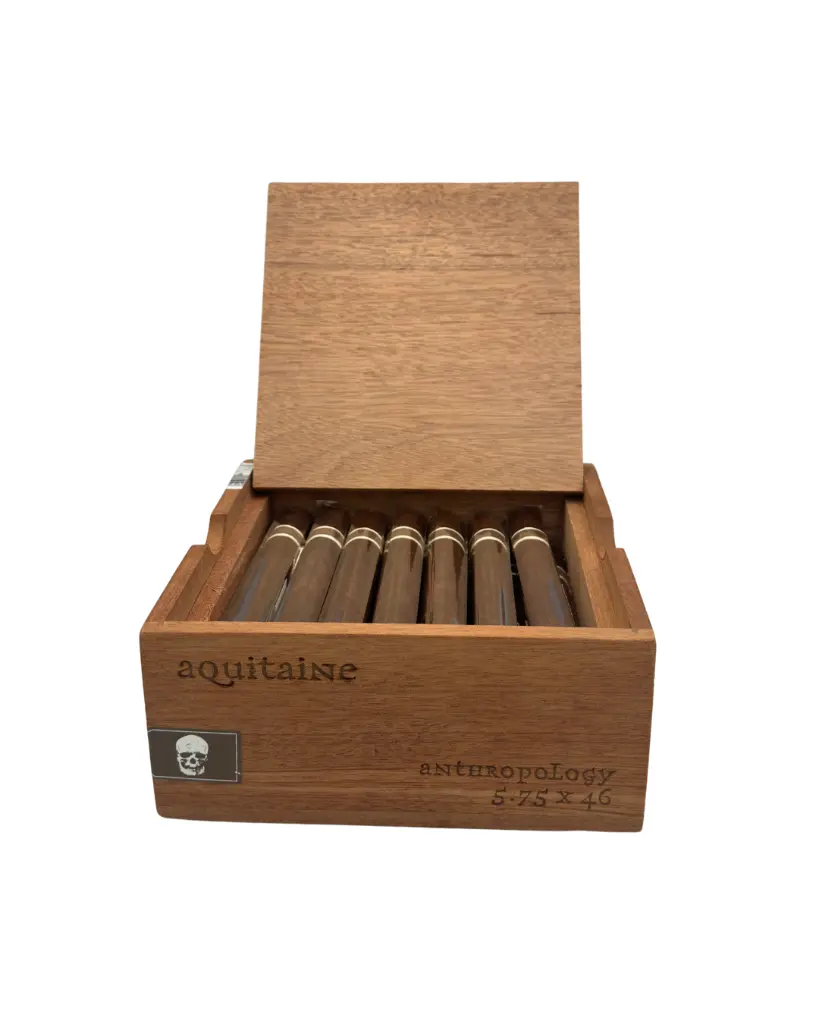 romacraft-cromagnon-aquitaine-anthropology-box-open.webp