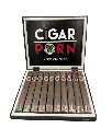 rocky-patel-cigar-porn-toro-box-open.webp