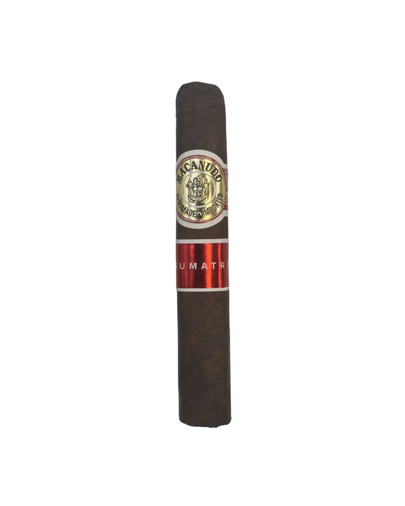 macanudo-montego-y-cia-sumatra-robusto-single-cigar.webp