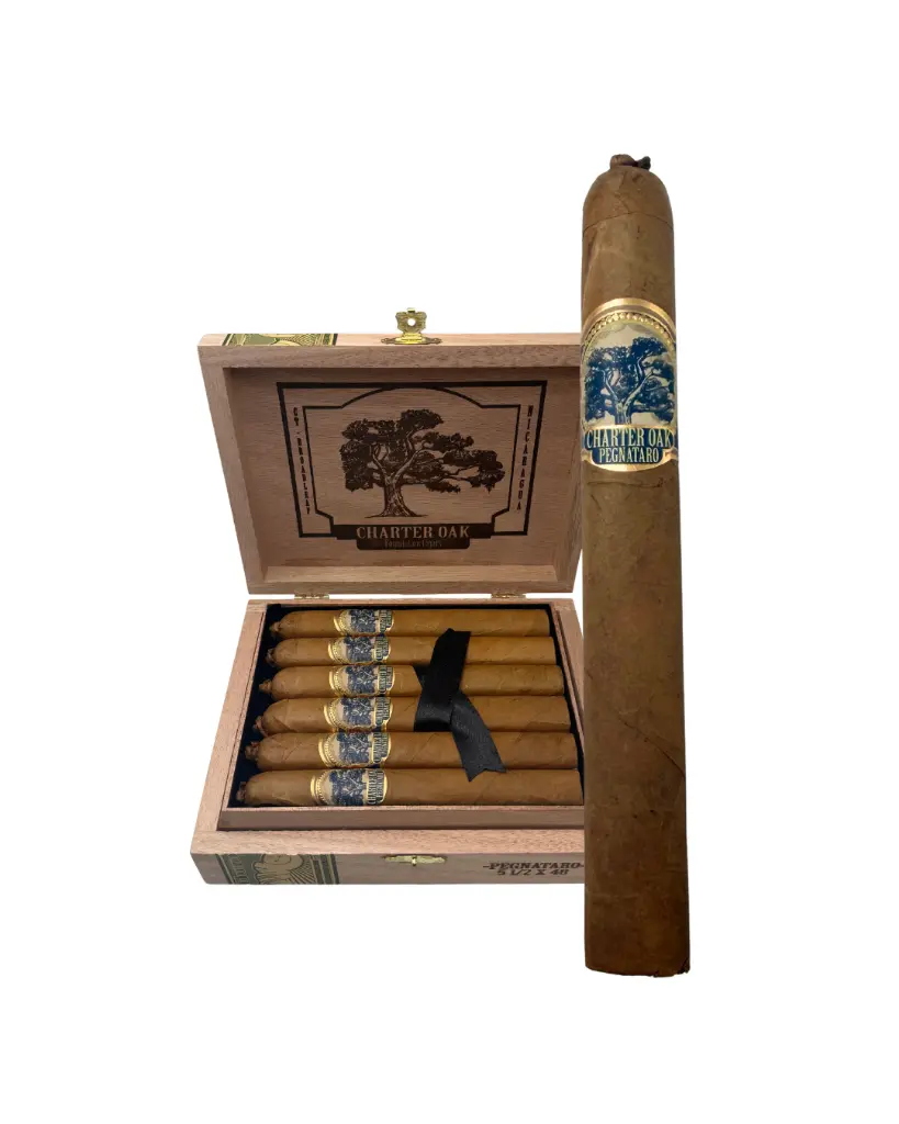 charter-oak-pegnataro-display.jpg.webp