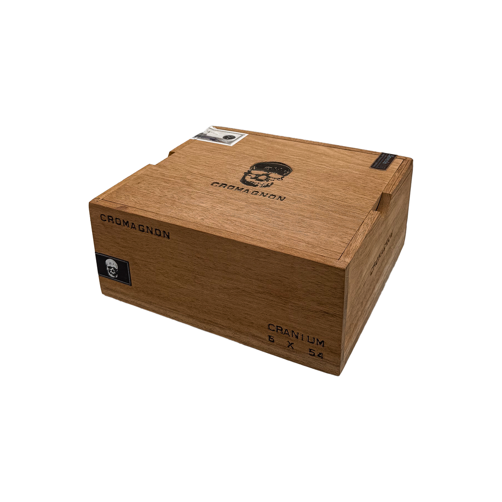 ROMA CRAFT  CroMagnon PA Cranium