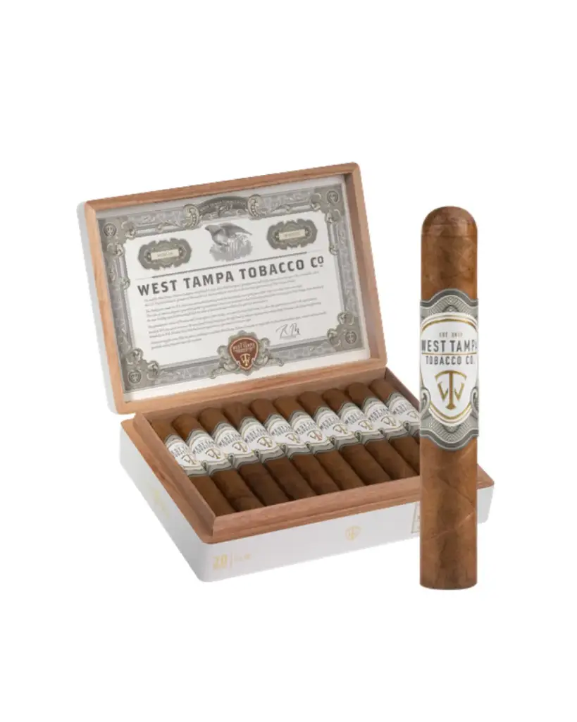 West Tampa White - Robusto