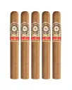 Perdomo | 20th Anniversary CT - Churchill