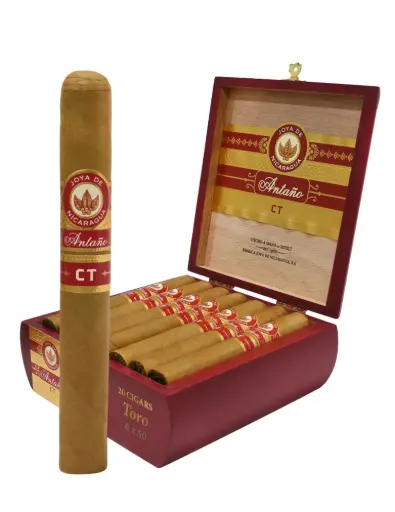 Joya De Nicaragua Antano CT Toro 
