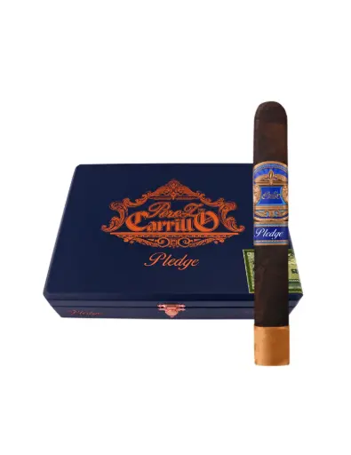 Pledge by E.P. Carrillo - Sojourn