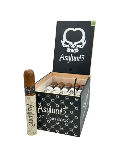 Asylum 13  80 x 8