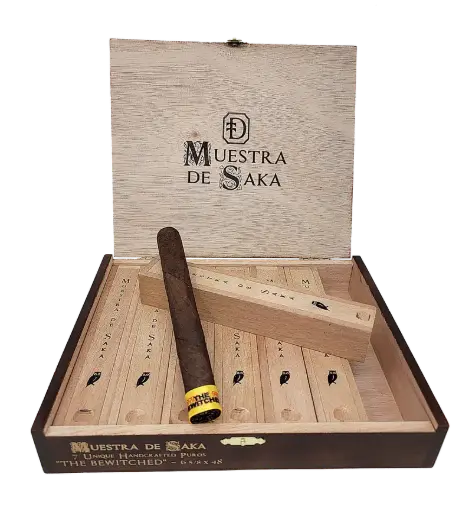 Muestra De Saka "The Bewitched"